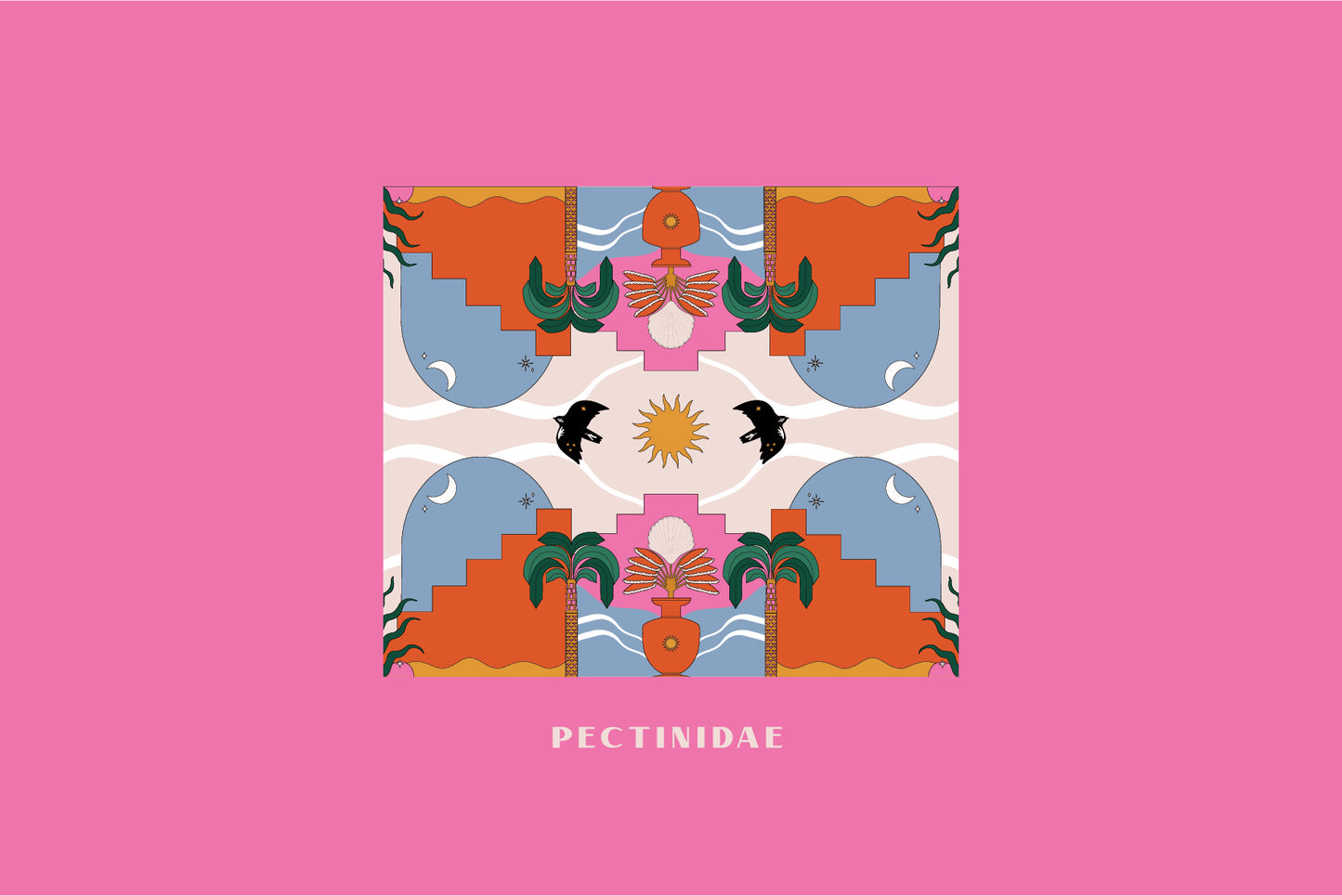 PECTINIDAE | KIMONO