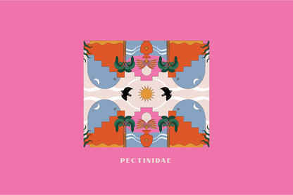 PECTINIDAE | KIMONO